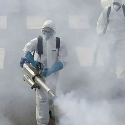 Mosquito Control Services